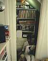 JamieLeeCurtis-001.jpg