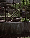 Filename=1334.jpg
Filesize=1149KiB
Dimensions=1920x816
Date added=Jul 01, 2020 1334.jpg