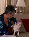 090.jpg
